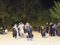 03-20-17-39-AM- DSC3189