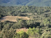 15-00-09-Francine-IMG 1291