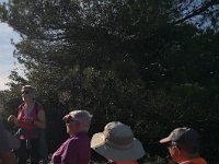 15-05-02-Andrée-IMG 20221107 150501 edit 109644265857747