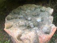 15-30-50-Francine-IMG 1316