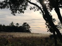 15-51-35-Andrée-IMG 20221107 155133 edit 109797044440537