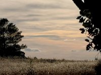 15-51-38-Andrée-IMG 20221107 155137 edit 109732674481692