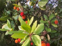 16-00-29-Francine-IMG 1328