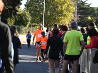 2022-11-20 11-13-15 Z9V 0967