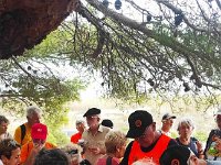 377902789 877255767450320 525525969882862997 n