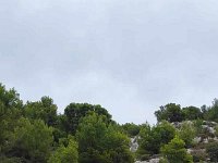 377913951 277066881769062 3537288052027772354 n