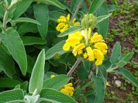 2024-05-13-08h42m07 resultat