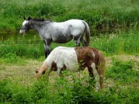 2024-05-13-08h54m52 resultat