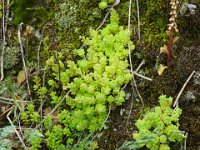 2024-05-13-09h34m05 resultat