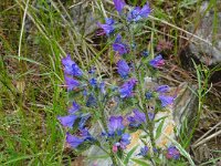 2024-05-13-09h35m07 resultat