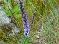 2024-05-13-09h39m21 resultat