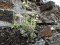 2024-05-13-09h45m07 resultat