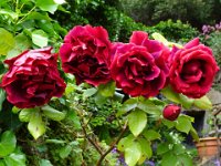 2024-05-13-10h31m06 resultat