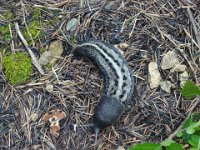 2024-05-13-10h40m29 resultat