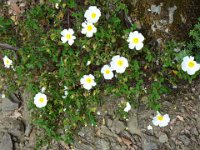 2024-05-13-11h27m52 resultat