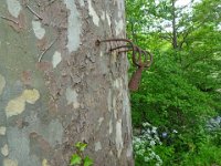 2024-05-13-13h08m40 resultat