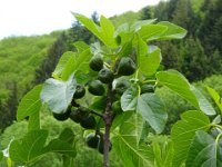 2024-05-13-13h20m03 resultat