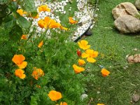 2024-05-13-13h22m54 resultat