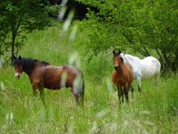 2024-05-13-13h26m48 resultat