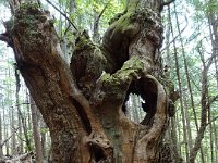 2024-05-13-13h42m03 resultat