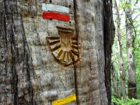 2024-05-13-13h53m05 resultat