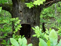 2024-05-13-14h07m39 resultat