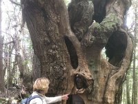 2024-05-13-14h42m29 resultat