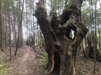 2024-05-13-14h44m16 resultat