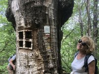 2024-05-13-14h56m35 resultat