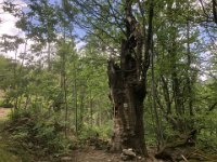 2024-05-13-14h57m41 resultat