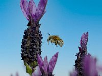 31 : 2024, Club Photo, Exposition, Sallesd'Aude