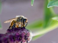 32 : 2024, Club Photo, Exposition, Sallesd'Aude