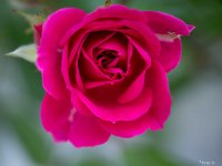 35 : 2024, Club Photo, Exposition, Sallesd'Aude