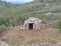 OpenRunner 1740407600