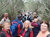 OpenRunner 1740407841