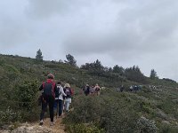 OpenRunner 1740408671